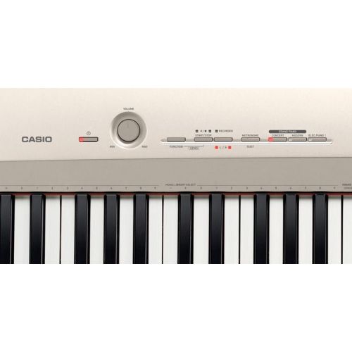 Цифровое пианино Casio PX-160GD